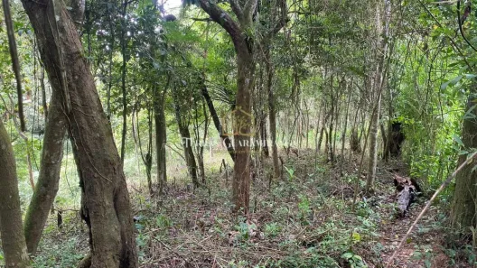 Lote/Terreno à venda, 5019m² no , Guaramiranga