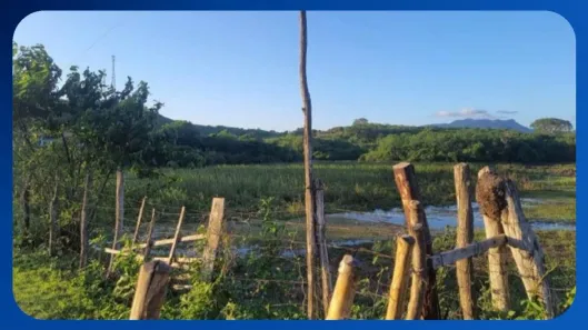 Fazenda/Sítio com 1 Quarto à venda, 10m² no Antônio Marques, Maranguape