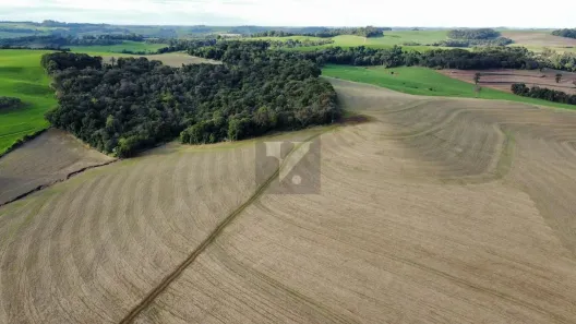 com 1 Quarto à venda, 1113200m² no Sarandi, Santa Izabel do Oeste
