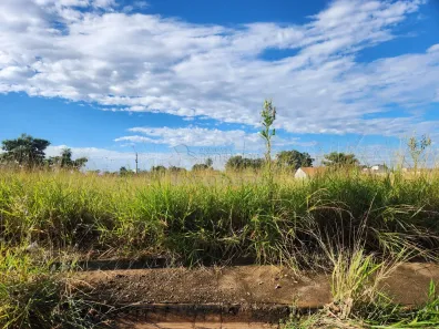 Lote/Terreno à venda, 250m² no Fazenda Rio Preto, São José do Rio Preto