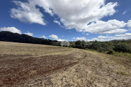Fazenda/Sítio à venda, 6123m² no Parque do Som, Pato Branco