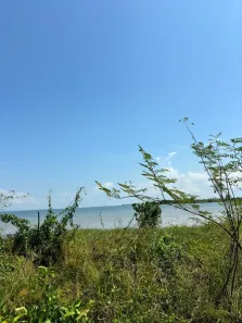 Lote/Terreno à venda, 30000m² no , Porto Nacional
