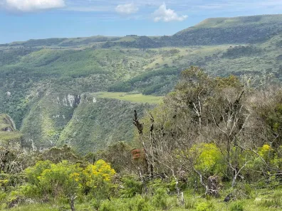 Lote/Terreno à venda, 6414100m² no Urubici, Urubici