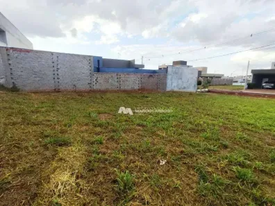 Lote/Terreno à venda, 253m² no Setlife Mirassol, Mirassol