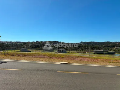 Lote/Terreno à venda, 500m² no Olarias, Ponta Grossa