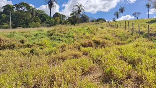 Lote/Terreno à venda, 12000m² no Lagoa dos Mares, Confins