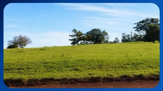 Lote/Terreno com 1 Quarto à venda, 10m² no Riviera de Santa Cristina II, Itaí