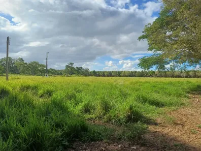 Fazenda/Sítio à venda, 1m² no Regência, Linhares