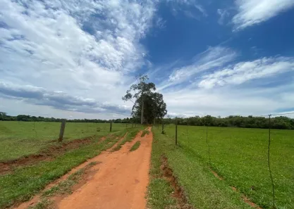 Fazenda/Sítio com 5 Quartos à venda, 100m² no Zona Rural, Delta