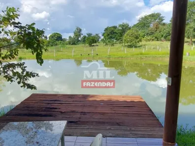 Fazenda/Sítio com 4 Quartos à venda, 113740m² no , Nazário