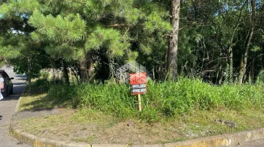 Lote/Terreno à venda, 443m² no América, Farroupilha