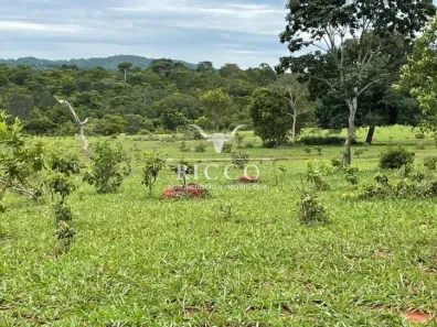 Lote/Terreno à venda, 8m² no Centro, Palestina de Goiás