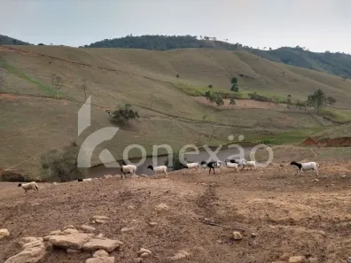 Fazenda/Sítio com 1 Quarto à venda, 90m² no Zona Rural, São Luiz do Paraitinga