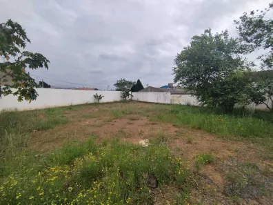 Lote/Terreno para alugar, 275m² no Pasqualini, Sapucaia do Sul