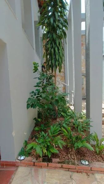Foto 16