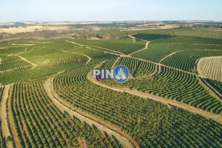 Fazenda/Sítio com 6 Quartos à venda, 10m² no Centro, Jataí