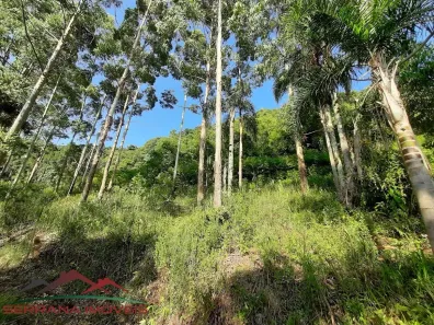 Lote/Terreno à venda, 20000m² no , Nova Petrópolis