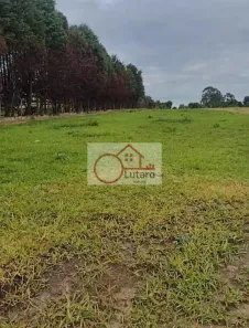 Fazenda/Sítio à venda, 5000m² no Elias Fausto, Elias Fausto