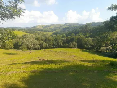 Lote/Terreno à venda, 5000m² no Condomínio Voturuna, Santana de Parnaíba