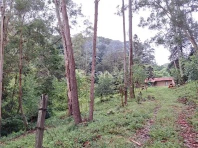 Fazenda/Sítio à venda, 145200m² no , Joanópolis