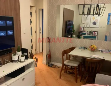Apartamento com 2 Quartos à venda, 52m² no Vila Paulicéia, São Paulo