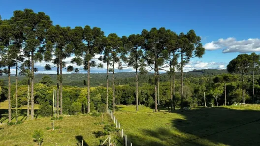Fazenda/Sítio à venda, 20000m² no Ana Rech, Caxias do Sul