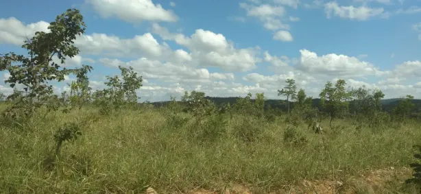 Lote/Terreno à venda, 20000m² no , Cordisburgo