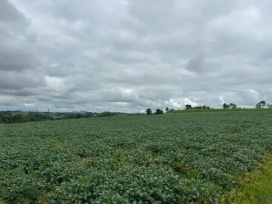 Fazenda/Sítio à venda, 121000m² no Zona Rural, Campo Magro
