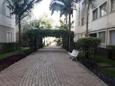 Apartamento com 2 Quartos para alugar, 58m² no Cidade dos Bandeirantes, São Paulo