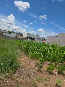 Lote/Terreno à venda, 279m² no Jardim Santa Marta, Salto