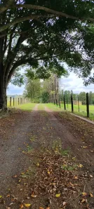 Fazenda/Sítio à venda, 219978m² no Área Rural de Itapetininga, Itapetininga