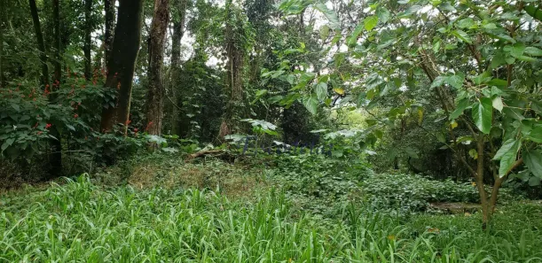 Lote/Terreno à venda, 1100m² no Cumbari, Mairiporã