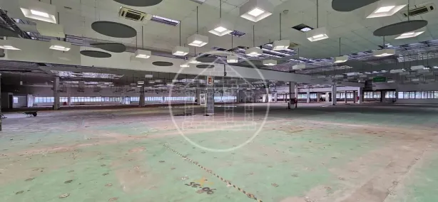 Galpão/Depósito/Armazém para alugar, 8509m² no Vila Almeida, São Paulo