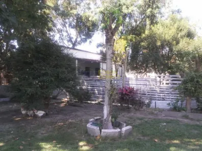 Fazenda/Sítio com 3 Quartos à venda, 162m² no Pedro Leme, Roseira