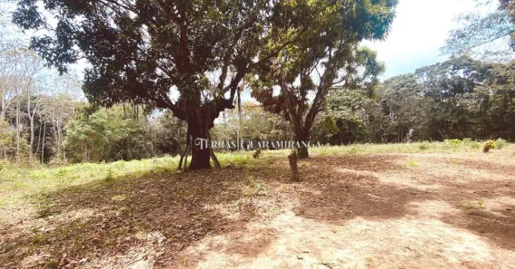 Lote/Terreno à venda, 4m² no , Guaramiranga
