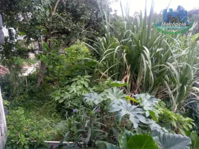 Lote/Terreno à venda, 400m² no Jardim Santa Terezinha, Guarulhos