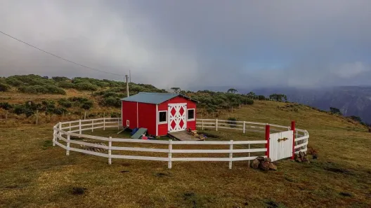 Fazenda/Sítio com 4 Quartos à venda, 20000m² no , Urubici