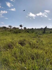 Lote/Terreno à venda, 100000000m² no Panaquatira, São José de Ribamar