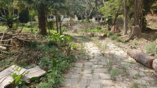Fazenda/Sítio com 3 Quartos à venda, 7100m² no Javari, Miguel Pereira