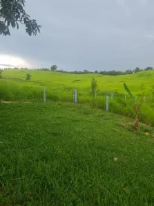 Fazenda/Sítio com 3 Quartos à venda, 338800m² no Centro, Alexânia