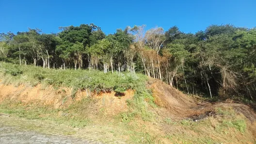 Lote/Terreno à venda, 2100m² no Jardim Janaína, Biguaçu