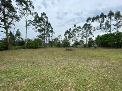 Lote/Terreno à venda, 4391m² no Campo Duna, Garopaba