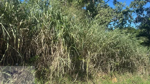 Lote/Terreno à venda, 381m² no Centro, Maricá