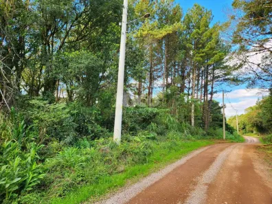 Lote/Terreno à venda, 5000m² no , Nova Petrópolis