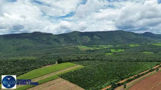 Fazenda/Sítio com 3 Quartos à venda, 79m² no Área Rural de Pirenópolis, Pirenópolis