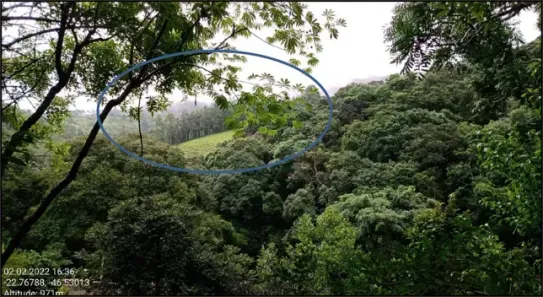 Fazenda/Sítio à venda, 10000m² no Área Rural de Pinhalzinho, Pinhalzinho