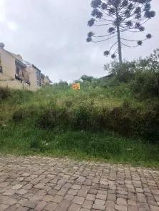 Lote/Terreno à venda, 410m² no São Caetano, Caxias do Sul