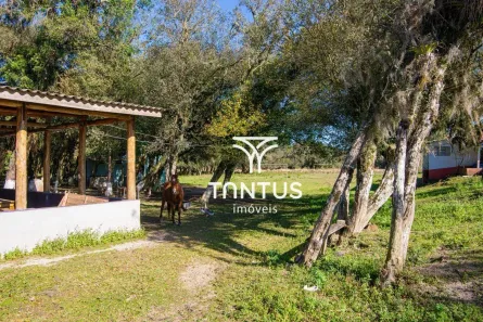 Lote/Terreno à venda, 97075m² no Weissópolis, Pinhais