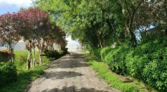 Lote/Terreno à venda, 12499m² no Alvarenga, São Bernardo do Campo