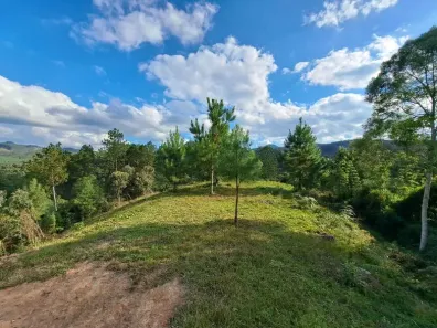 Lote/Terreno à venda, 22168m² no Benedito Alto, Doutor Pedrinho